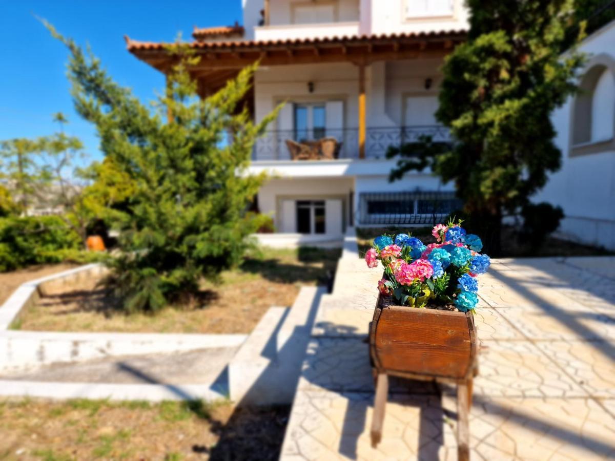 Liana : Luxury With Fantastic Sea View, Near Airport Villa
