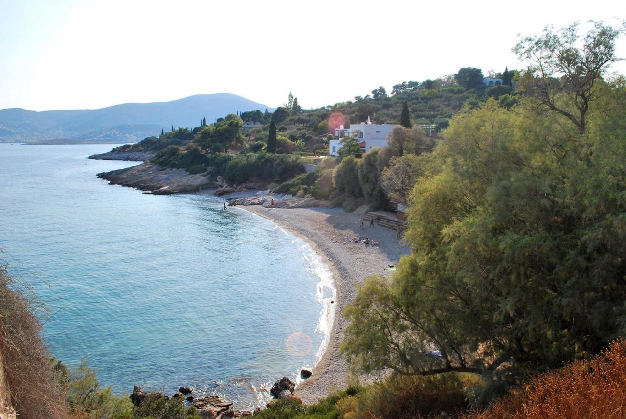 Liana : Luxury With Fantastic Sea View, Near Airport * Porto Rafti