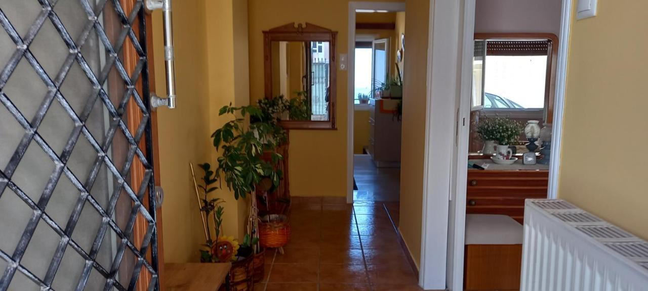 Horizonview Plakes Apartment Ermoupoli