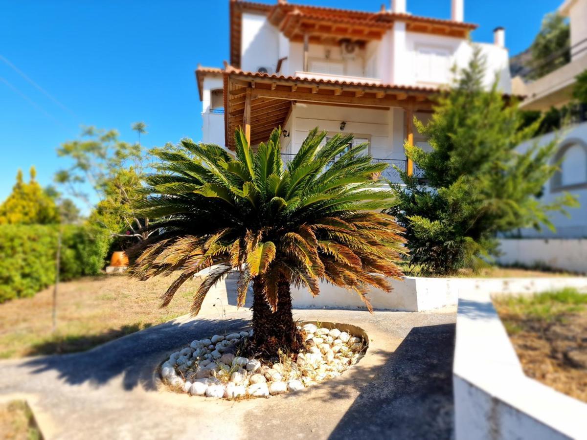 Villa Liana : Luxury With Fantastic Sea View, Near Airport Porto Rafti