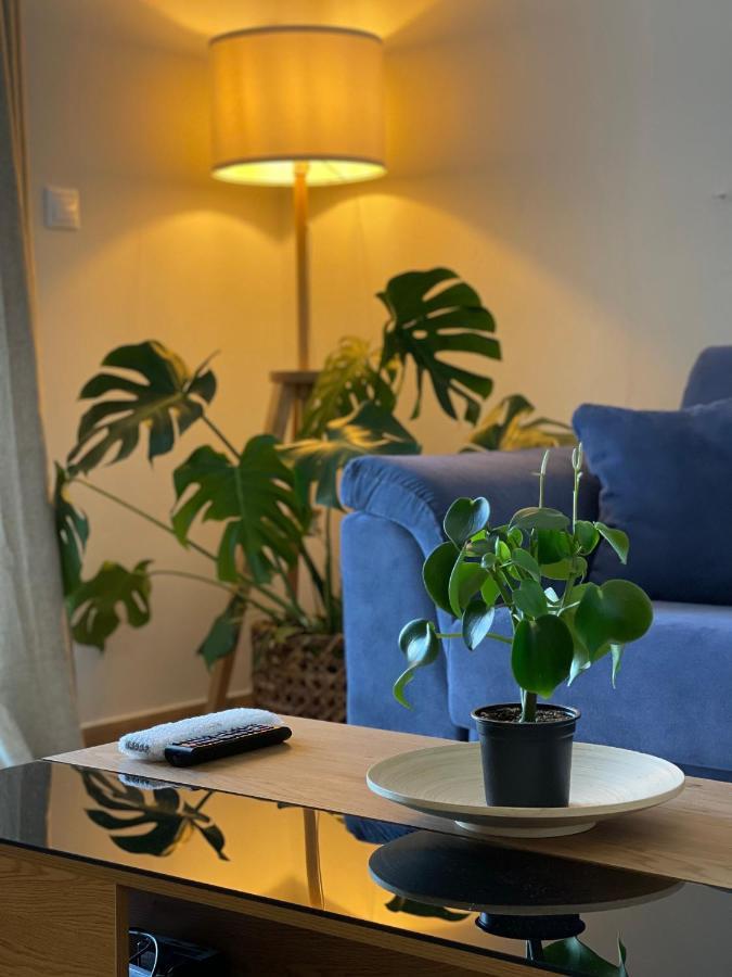 Cosy With Sea View Close To The Apartment *