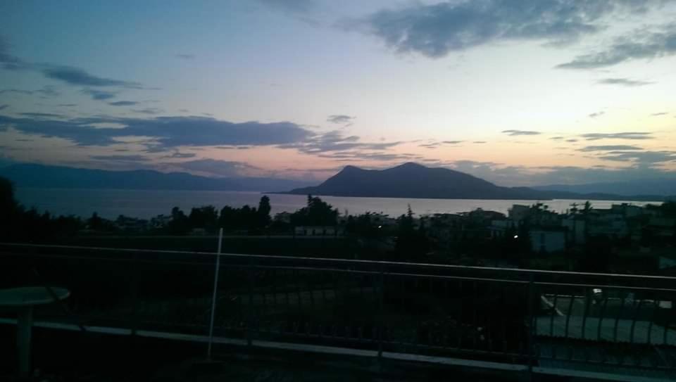λεμονιά ενοικιαζόμενα Guest house Loutra Edipsou (Evia)