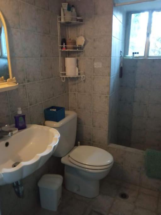 Veloni Andros Holiday home *