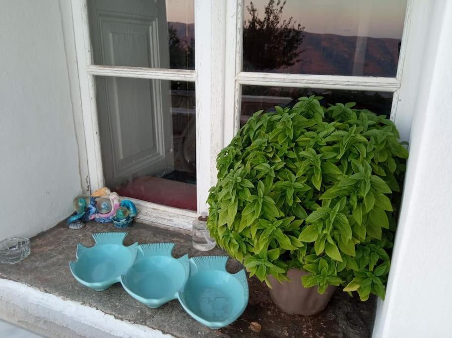 Holiday home Veloni Andros *