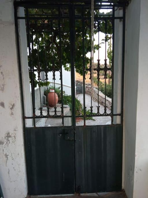 Veloni Andros Holiday home *