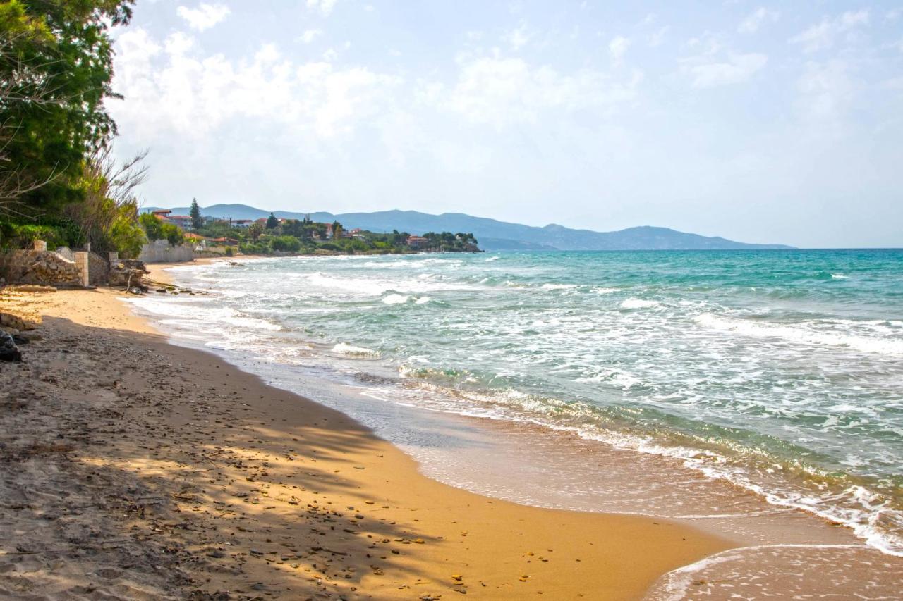 Villa Gousetis On The Beach Psarou (Zakynthos)