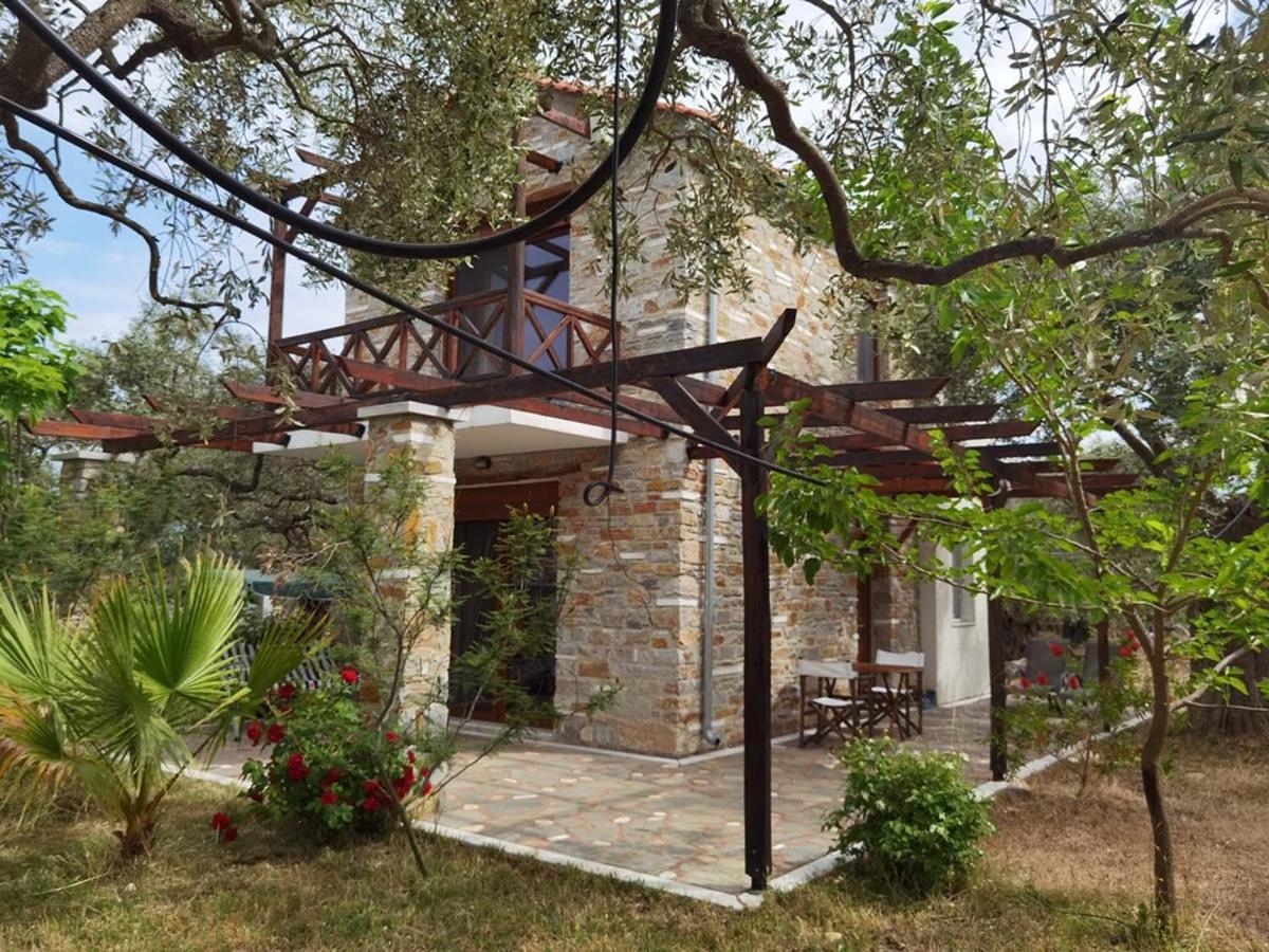 Elea Stone In Organic Quiet Olive Grove, Prinos, Thassos Villa *