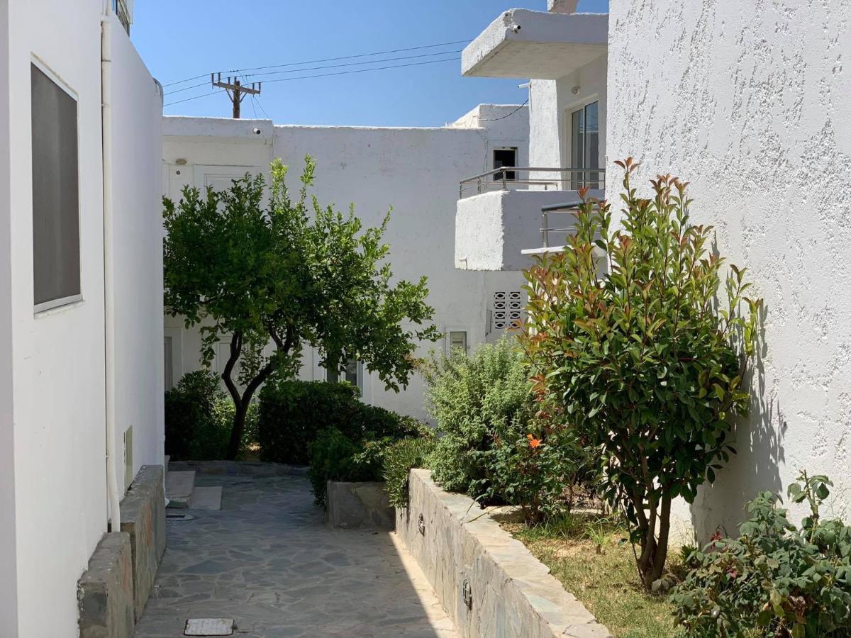 Hotel Adel Paradise