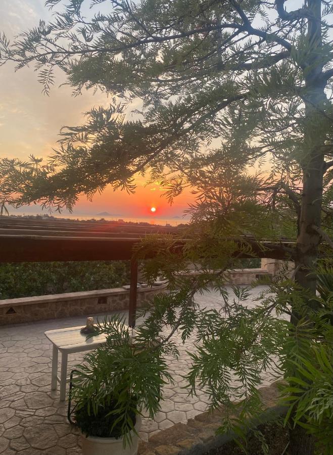 Pistachio Guesthouse, παραδοσιακός *