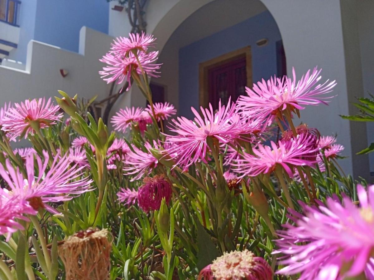 Nefeli Leros