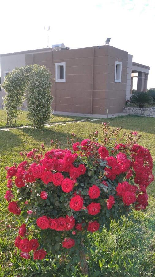 - Family Comfort With Large Garden, Jacuzzi Villa