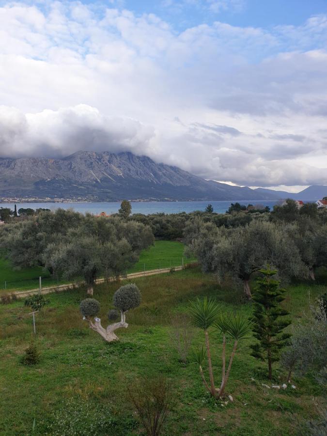 Pogonia Panorama *
