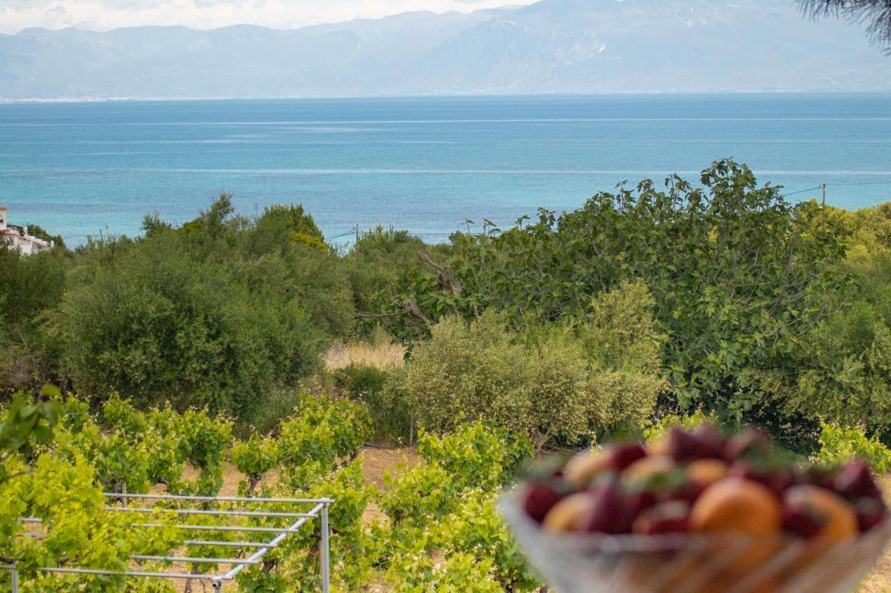 Country house Anastasia Koroni (Messinia)