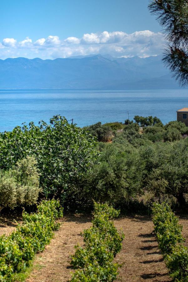 Country house Anastasia Koroni (Messinia)