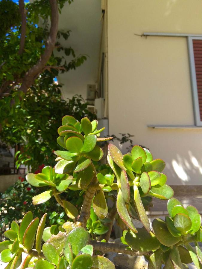 Olea Lefkada City