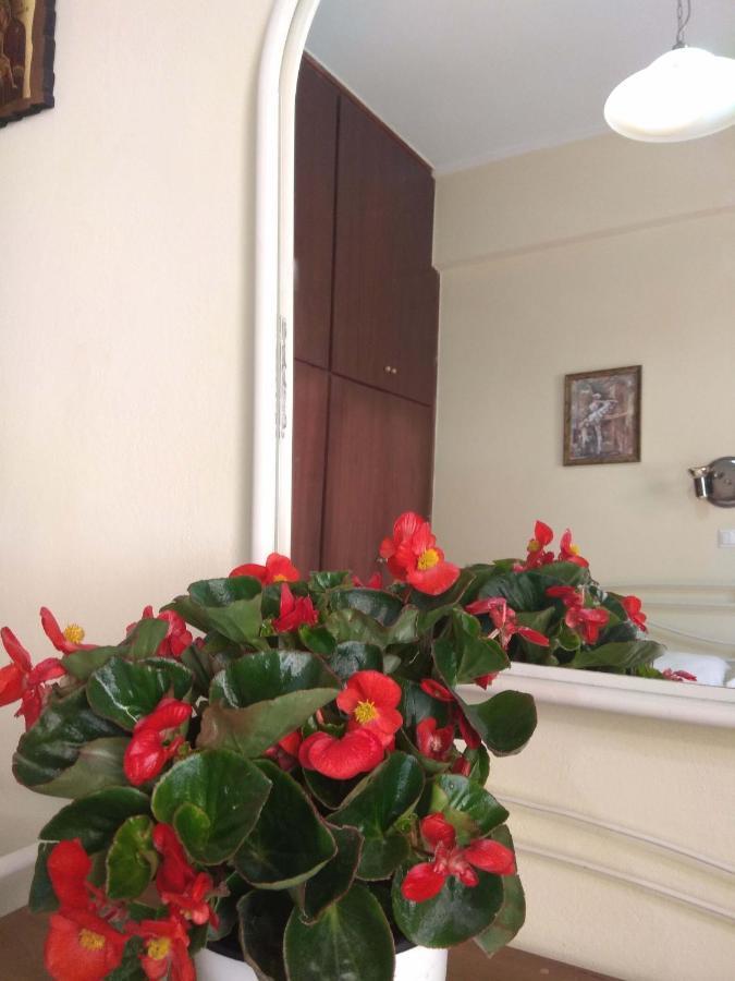 Apartment Olea Lefkada City