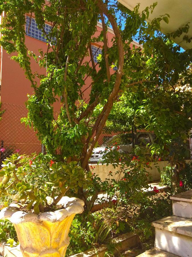 Olea Apartment