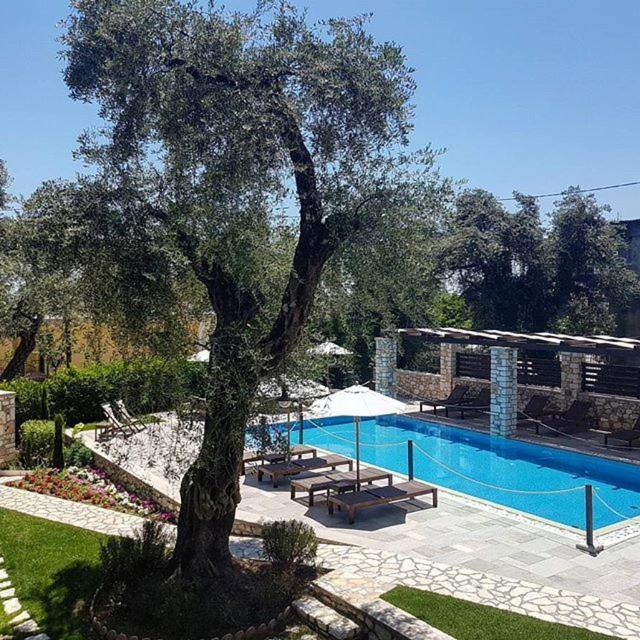 Vassilis Guest house