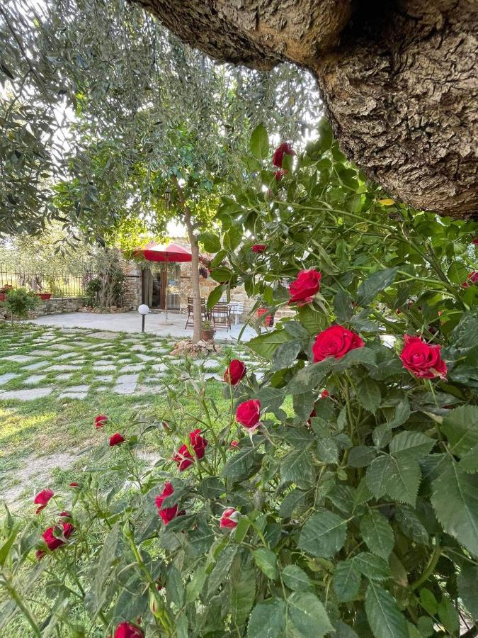 Aggeliki Apartment Prinos (Thasos)