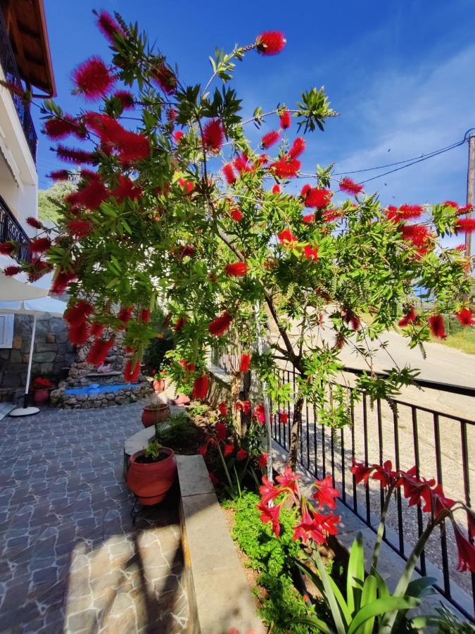 Studios Apollon Apartment *