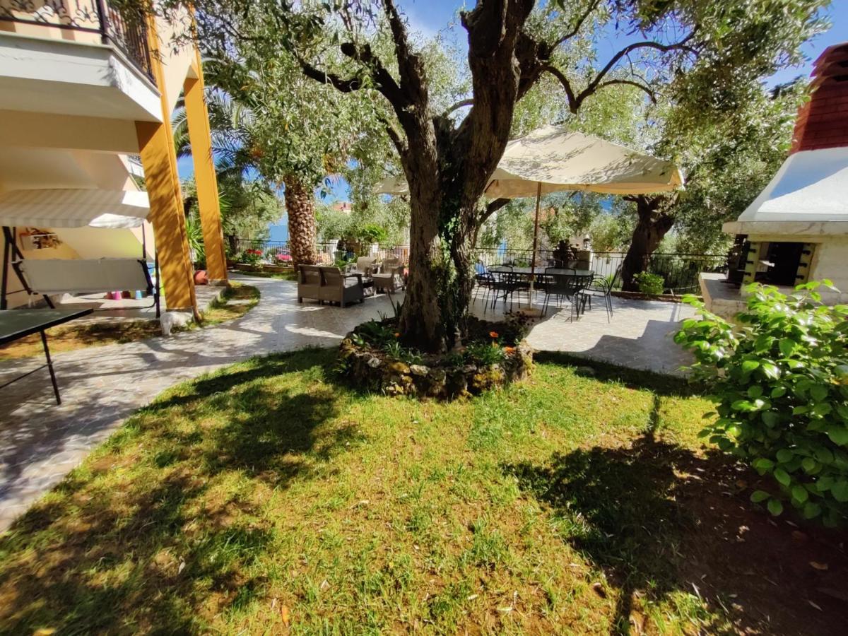 Studios Apollon Apartment *