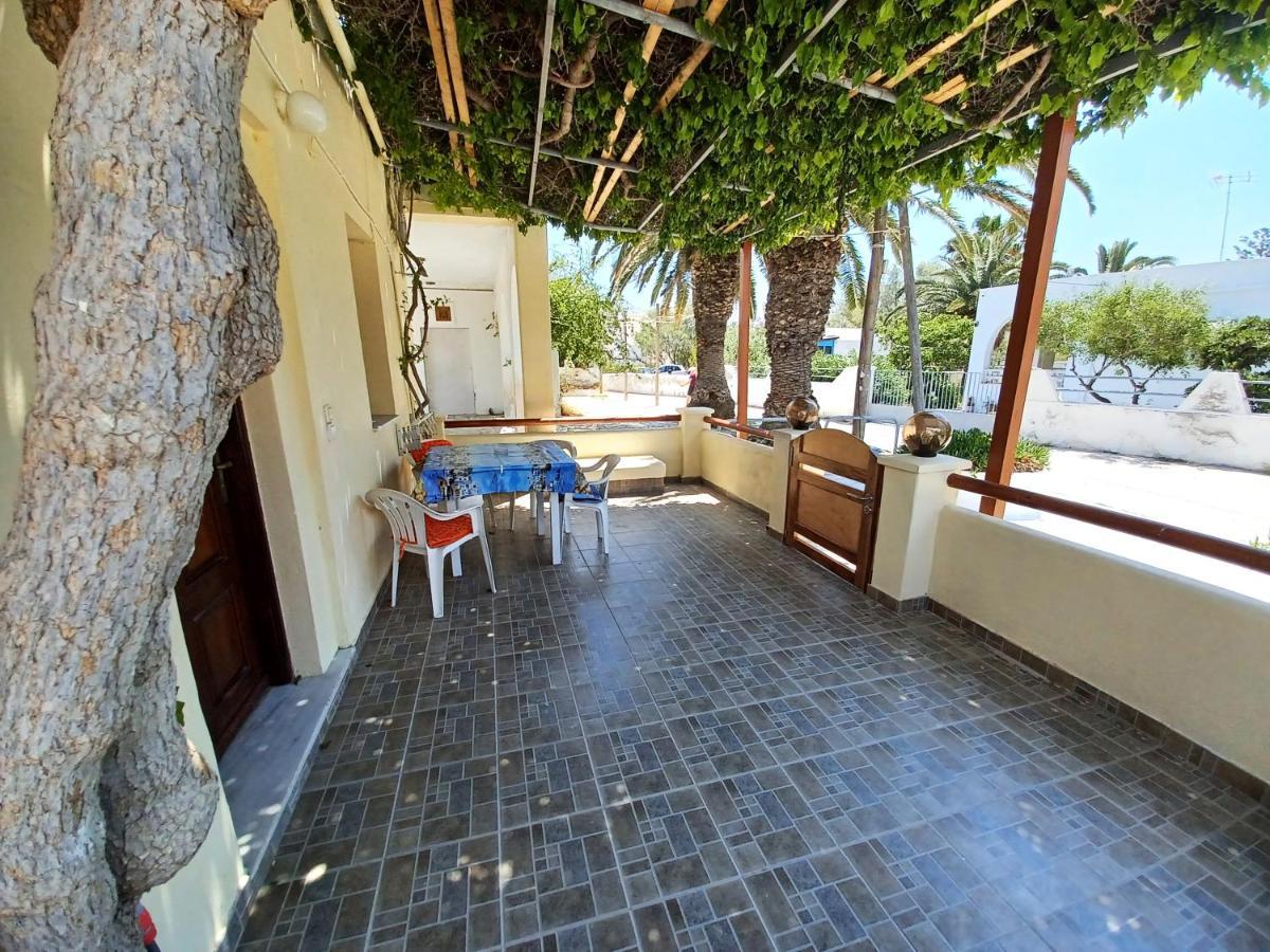 Evelina Pension: Diverse Near Black *