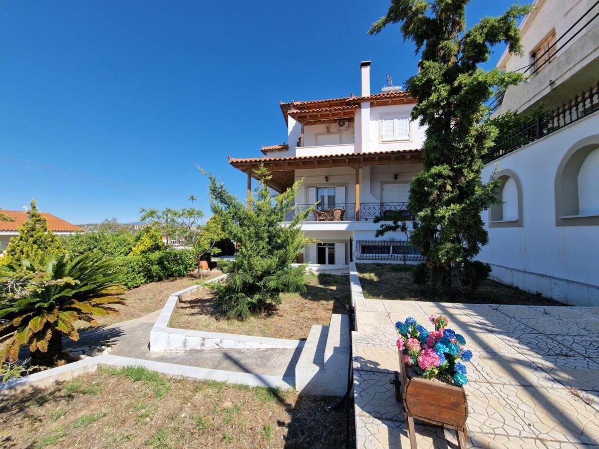 Liana : Luxury With Fantastic Sea View, Near Airport