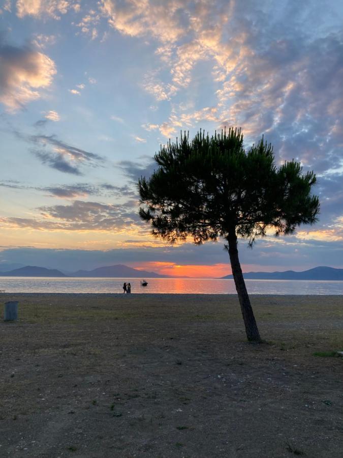 Mirtia Pefki (Evia)