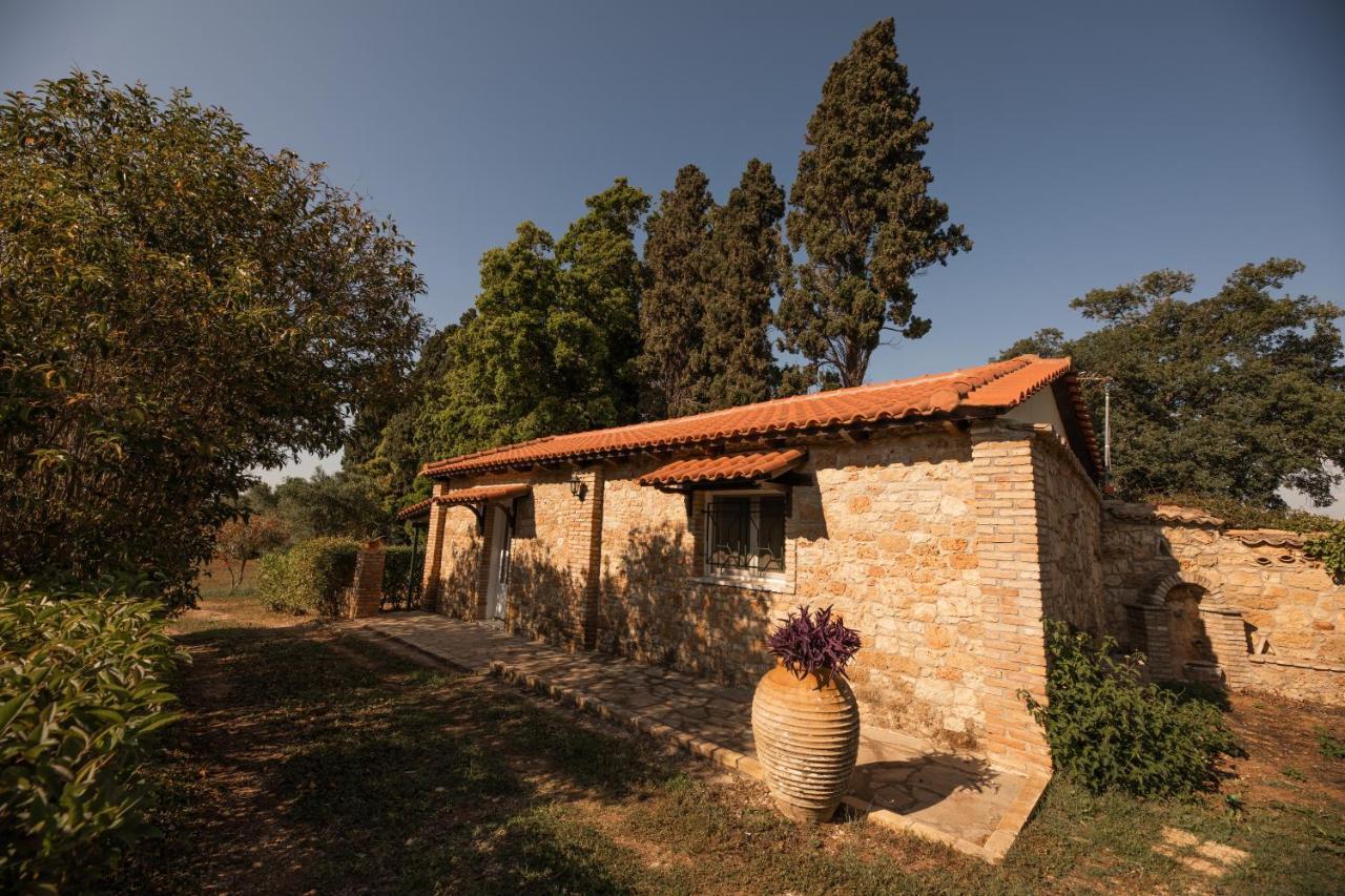 Guest house Georgina 4*