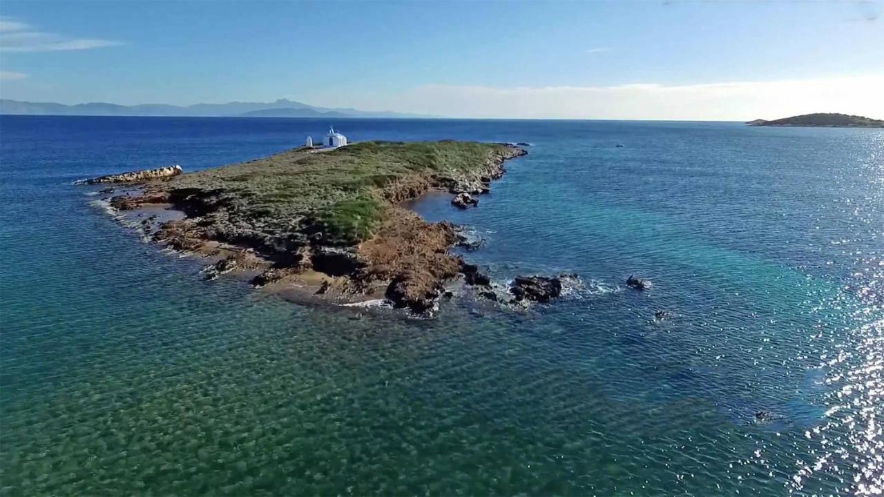 Liana : Luxury With Fantastic Sea View, Near Airport * Porto Rafti