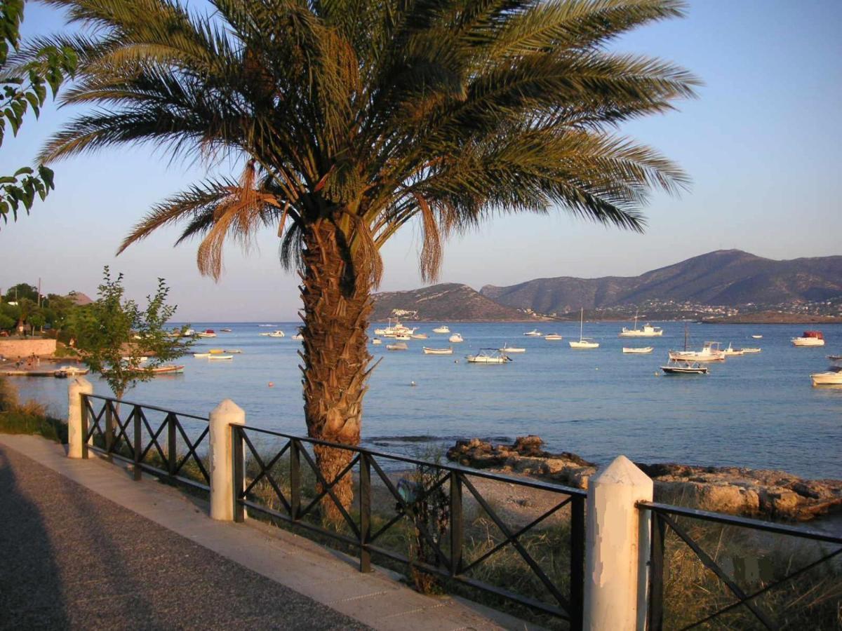 Villa Liana : Luxury With Fantastic Sea View, Near Airport *