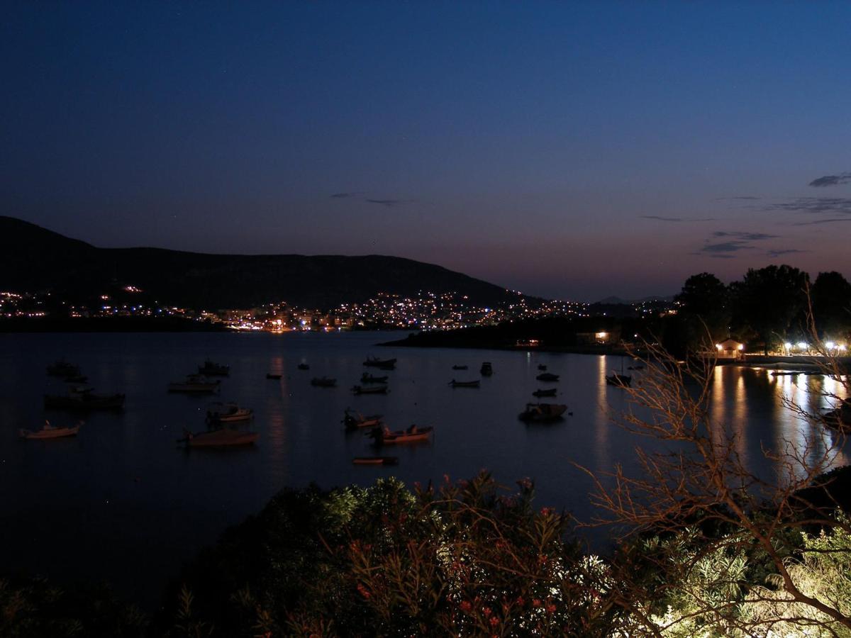 Liana : Luxury With Fantastic Sea View, Near Airport Villa Porto Rafti