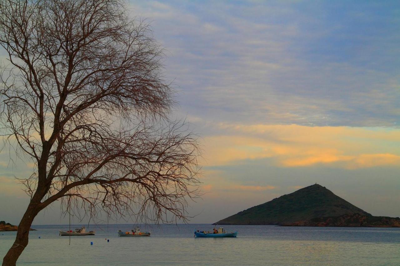 Villa Liana : Luxury With Fantastic Sea View, Near Airport Porto Rafti