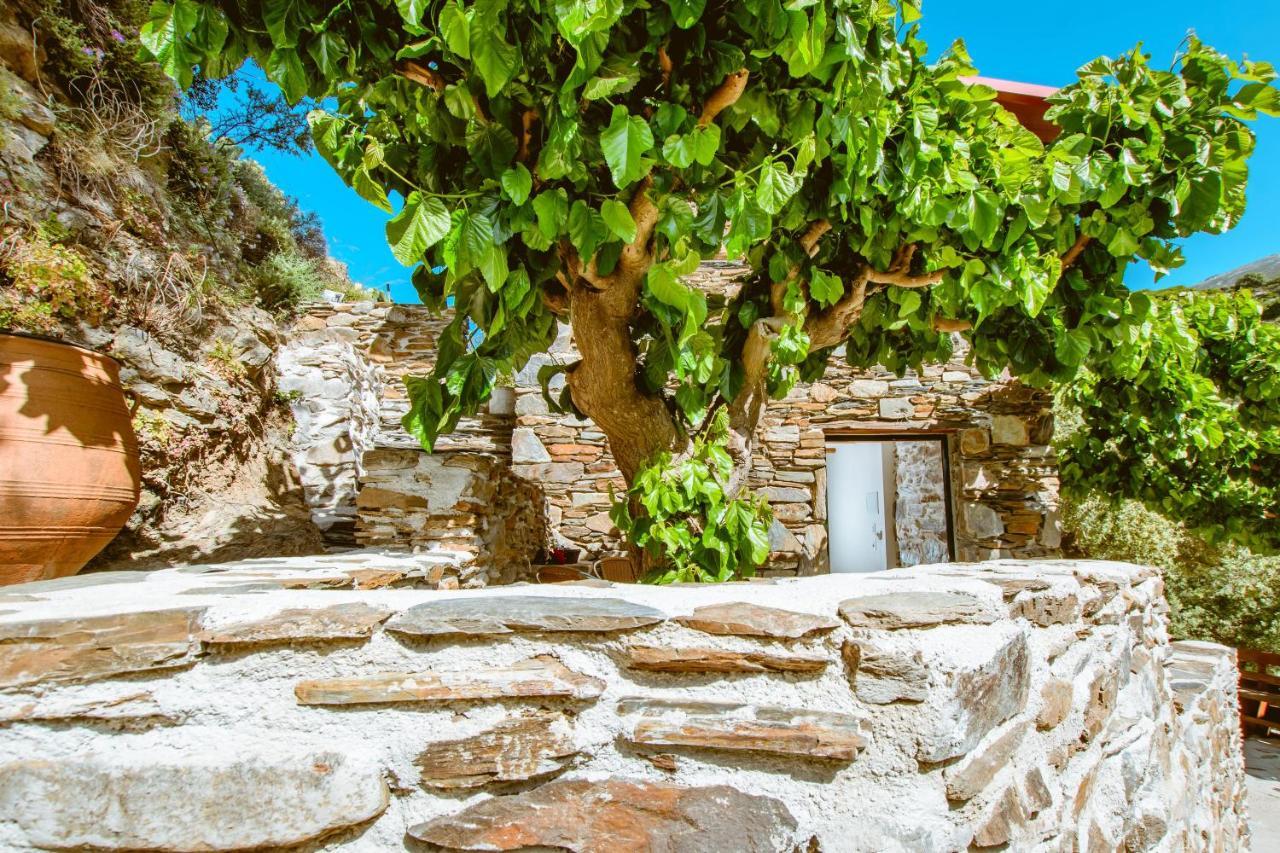 Ellafos Traditional Living