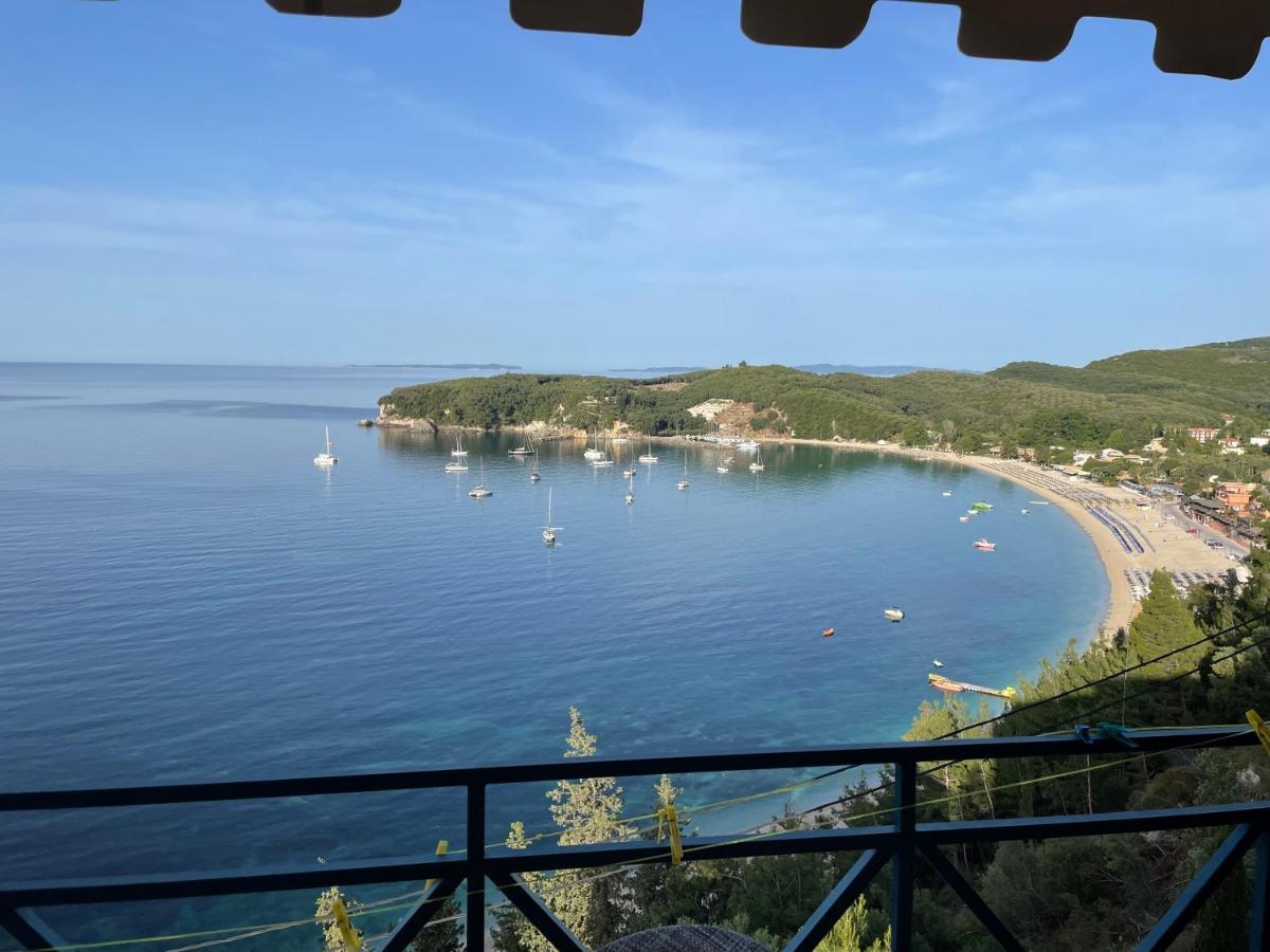 Palatino 4*