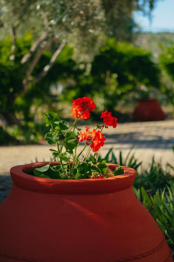 βίλλα φανούλα Fanoula Villa Chorto