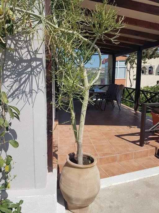 Amalthia * Sitia (Crete)