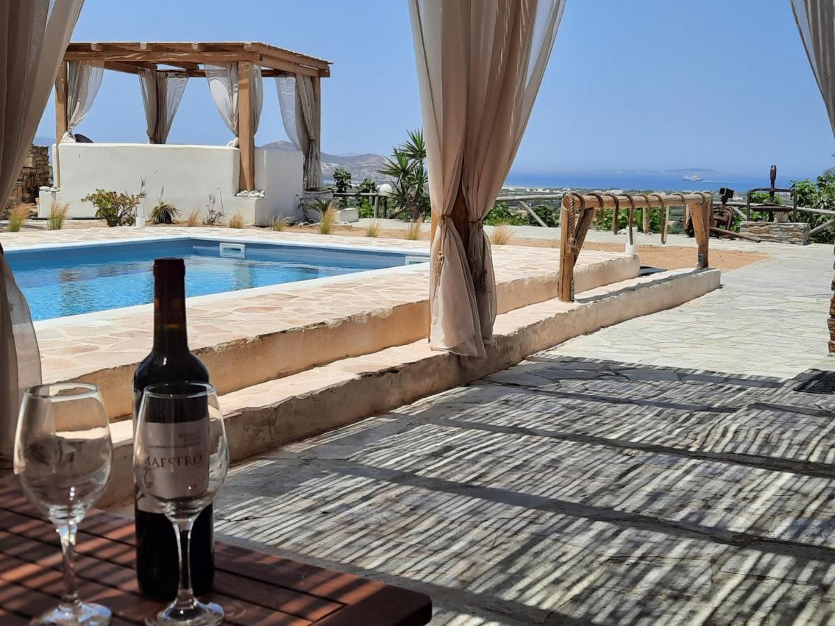 Janakos View With Private Pool Apartment *