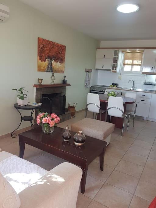 Amalthia Holiday home