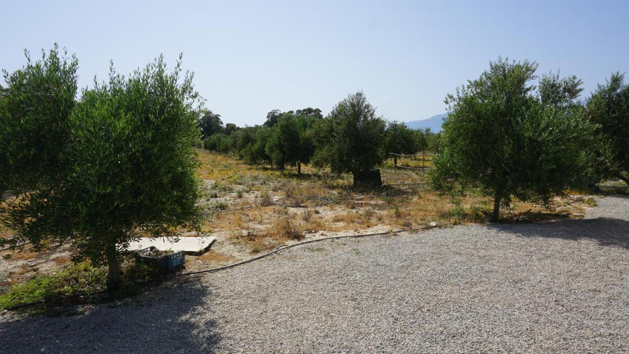 Oasis House - For Relaxing Holidays Near The