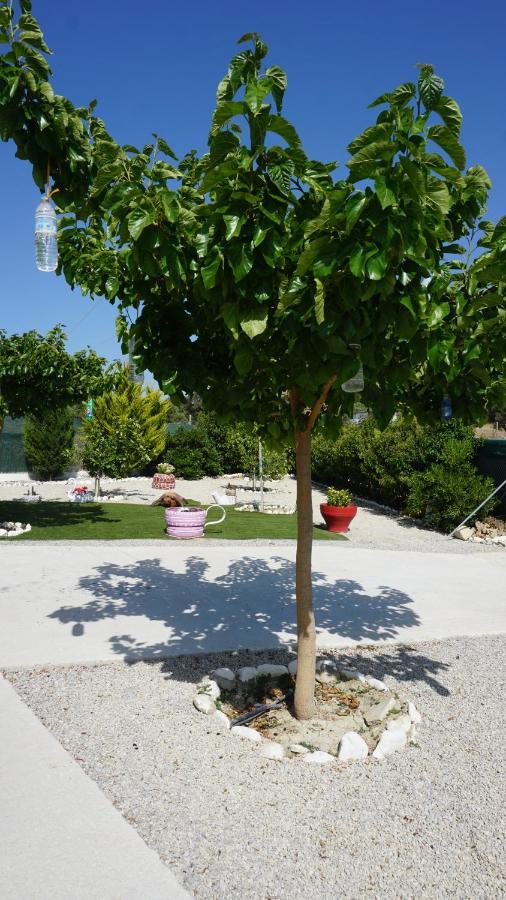 Oasis House - For Relaxing Holidays Near The Holiday home