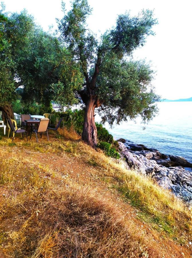 Aparthotel Leonidas Greecefiloxenia *