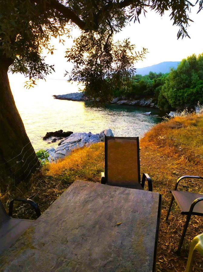 Leonidas Greecefiloxenia Aparthotel