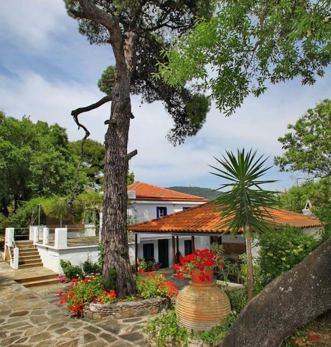 Skopelos Panormos Vassilios Holiday home *