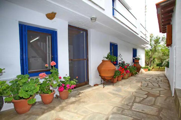 Skopelos Panormos Vassilios Holiday home Panormos (Skopelos)