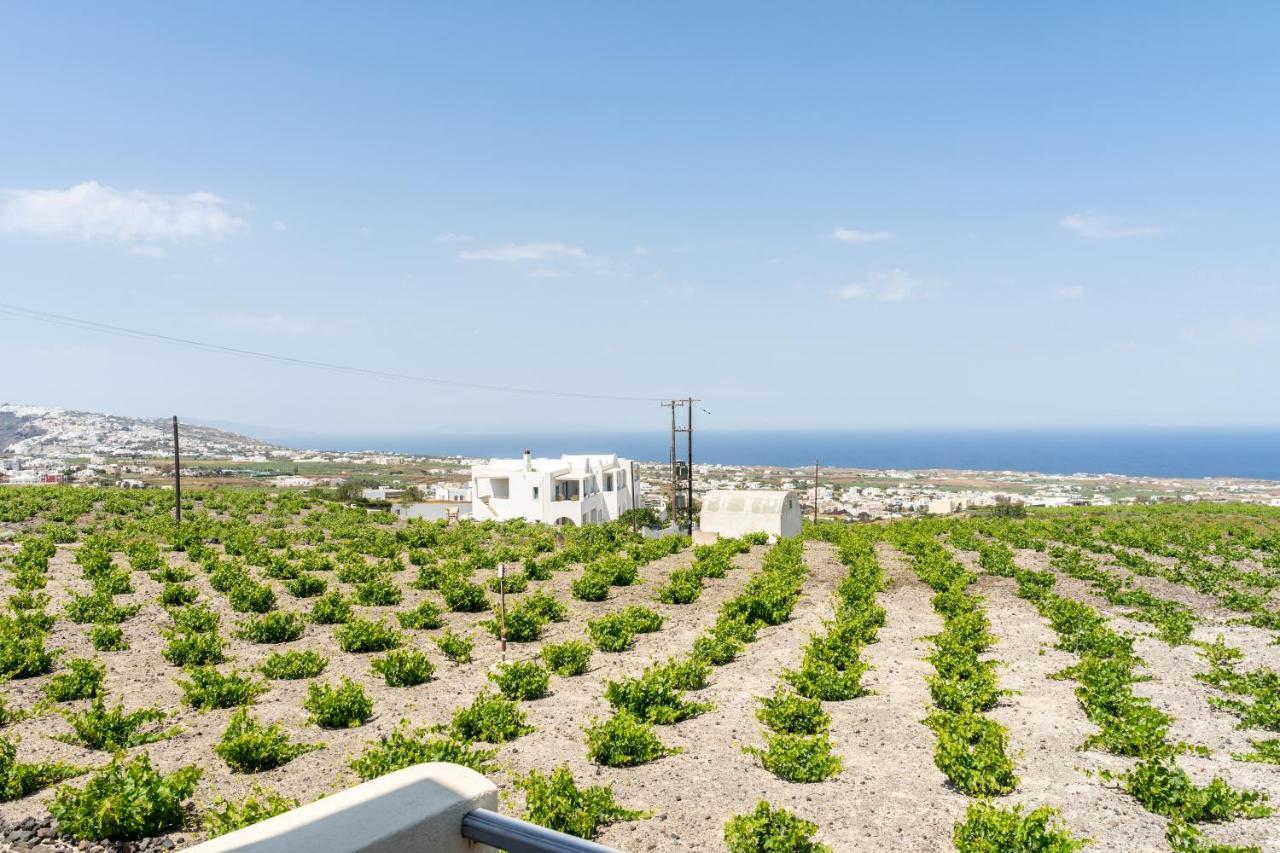 Ampelonas Executive Houses Apartment *
