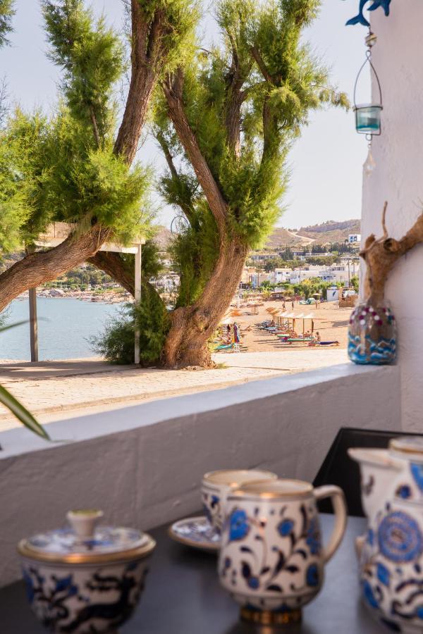 Peters Apartment Archangelos (Rhodes)