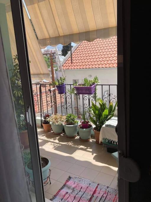 Nina's House In The Center Of *