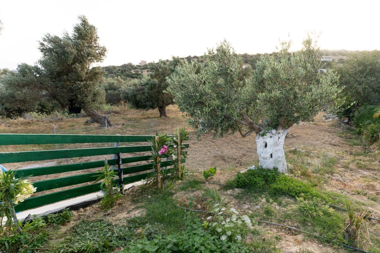 Galini House Holiday home *