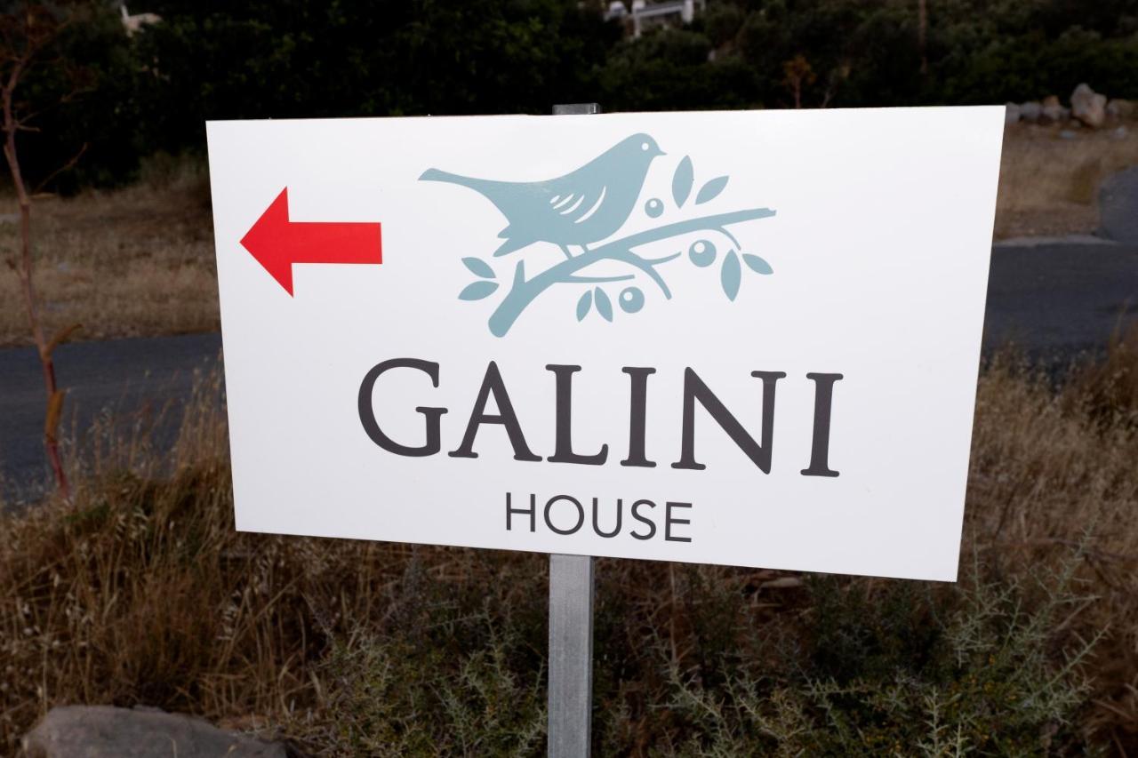 Galini House Holiday home *